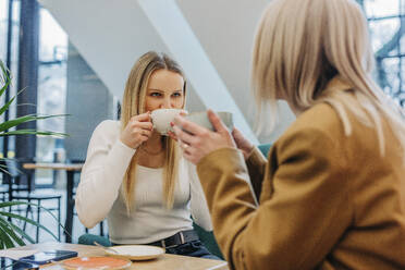 Freunde trinken Kaffee im Cafe - VSNF01560