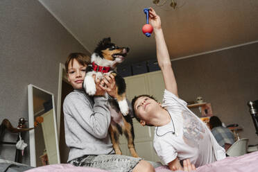 Geschwister spielen mit Hund auf dem Bett - EYAF02920