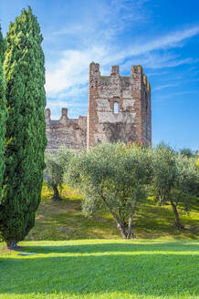 Italien, Venetien, Lazise, Grüne Bäume vor einem alten Schloss - MHF00753
