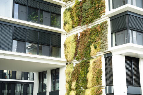 Germany, Baden-Wurttemberg, Freiburg im Breisgau, Overgrown wall of modern apartment building - SGF02954