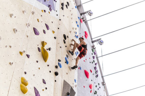 Ein Sportler trägt einen Sicherheitsgurt und klettert an einer Boulderwand in einer Sporthalle - PBTF00407