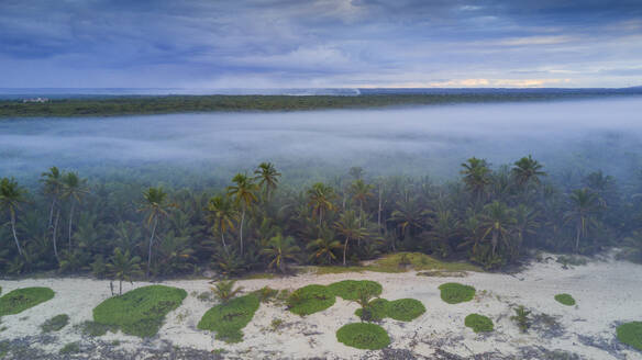 Luftaufnahme einer langen Küstenlinie mit Strand bei Sonnenuntergang in Punta Cana, La Altagracia, Dominikanische Republik. - AAEF25143