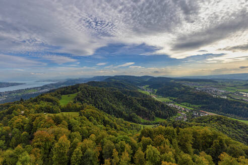 Luftaufnahme der grünen Landschaft von Zürich im Winter, Schweiz. - AAEF25169
