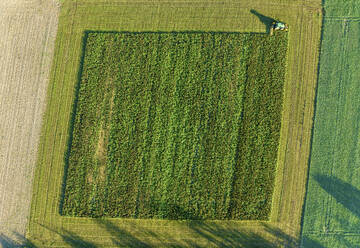 Aerial view of harvesting crops in Kingersheim, Mulhouse, Alsace, France. - AAEF25182