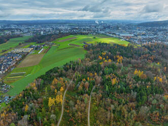 Aerial view of the city of Zurich in the winter morning, Switzerland. - AAEF25184