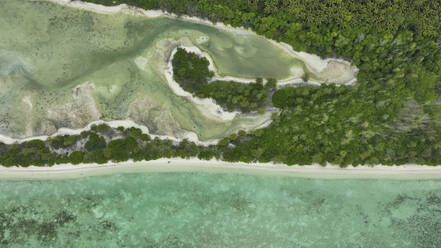Luftaufnahme der Vegetation entlang der Küste von St. Francois, Seychellen. - AAEF25246