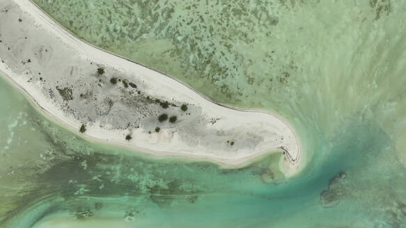 Luftaufnahme von Bäumen auf einer Sandbank im St. Francois-Atoll, Seychellen. - AAEF25248