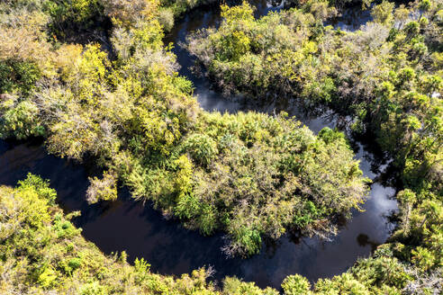 Luftaufnahme von Bäumen in einem Busch entlang des Flusses in Herbstfarben, Sebastian, Florida, Vereinigte Staaten. - AAEF25324