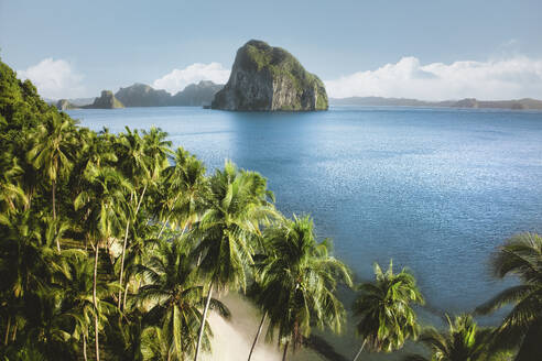 Aerial view of palm trees along the beach in Las Cabanas, El Nido, Palawan, Philippines. - AAEF25460