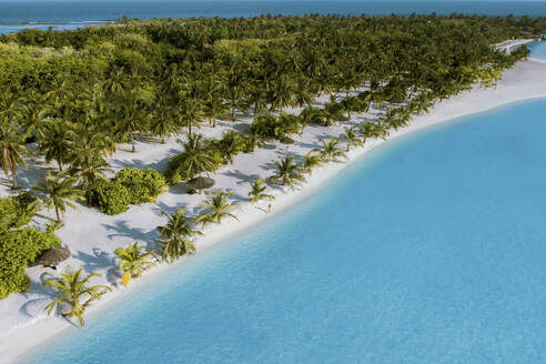 Aerial view of a person on a white sand beach with palm trees along the shoreline on South Ari Atoll, Maldives. - AAEF25461