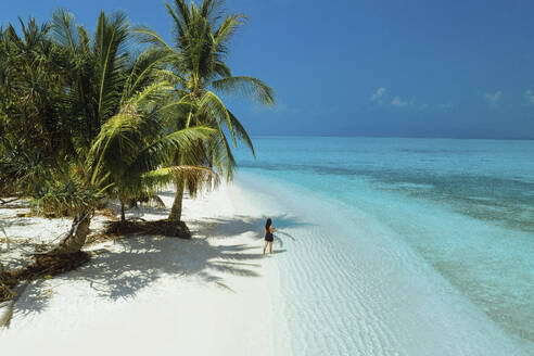 Aerial view of a person on the white sand beach along the shoreline in Balabac Island, Palawan, Philippines. - AAEF25466