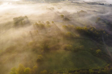 Luftaufnahme von Bäumen in einem Tal mit frühem Morgennebel in Psaka, Epirus, Griechenland. - AAEF25471