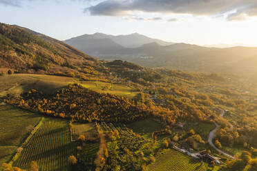 Aerial view of a mountains and hills landscape with vineyard and countryside houses at sunset in autumn colours, Irpinia, Avellino, Campania, Italy. - AAEF25760