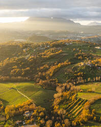 Aerial view of a mountains and hills landscape with vineyard and countryside houses at sunset in autumn colours, Irpinia, Avellino, Campania, Italy. - AAEF25768