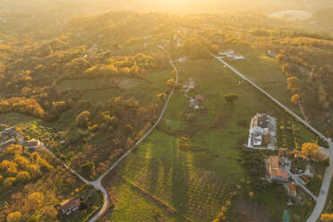 Luftaufnahme einer Straße durch eine Landschaft mit Weinbergen bei Sonnenuntergang im Herbst in Irpinia, Avellino, Kampanien, Italien. - AAEF25769