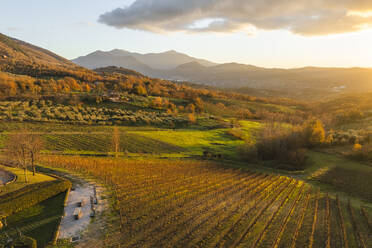 Aerial view of a mountains and hills landscape with vineyard and countryside at sunset in autumn colours, Irpinia, Avellino, Campania, Italy. - AAEF25778