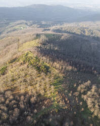 Luftaufnahme des Monte Pergola bei Sonnenuntergang in der Nähe von Solofra, Avellino, Irpinia, Kampanien, Italien. - AAEF25822