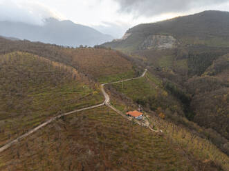 Luftaufnahme einer Bergstraße auf dem Monte Pergola mit Waldbäumen in Serino, Irpinia, Avellino, Kampanien, Italien. - AAEF25859