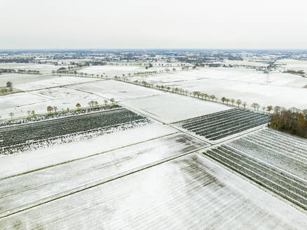 Luftaufnahme der Landschaft von De Peel mit Wiesen, Baumschulen und Straßen mit Bäumen, bedeckt mit etwas Schnee, Asten, Noord-Brabant, Niederlande. - AAEF25974