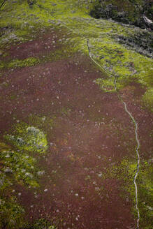 Luftaufnahme eines Wanderweges durch karges, trockenes Gelände, das eine malerische Szene bietet, Australien. - AAEF25989