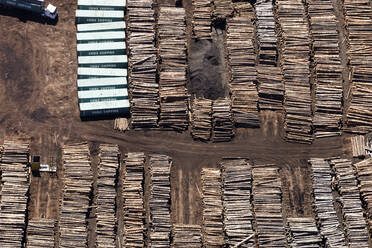 Luftaufnahme eines Stapels von Holzstämmen, die für den Transport bereitstehen, Australien. - AAEF25999