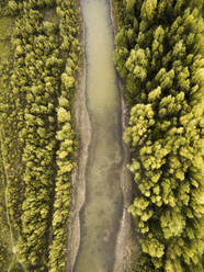 Luftaufnahme eines flachen Flussbetts inmitten üppiger grüner Wälder, Australien. - AAEF26018