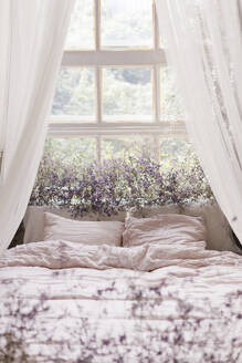 Bett in Fensternähe mit Trockenblumen geschmückt - ONAF00712