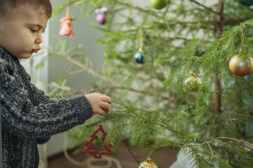 Niedlicher Junge schmückt Weihnachtsbaum zu Hause - ANAF02666