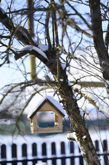 Vogelhäuschen im Winter am Baum hängend - ANAF02671