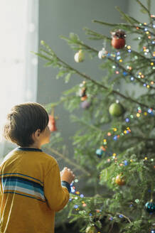 Boy looking at Christmas tree in home - ANAF02672