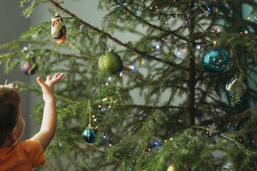 Junge hängt Weihnachtsschmuck an den Baum zu Hause - ANAF02676