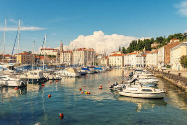 Slowenien, Küsten-Karst, Piran, Boote im Sommerhafen vertäut - TAMF04180