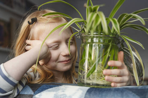 Smiling girl with spider plant at home - IHF01867