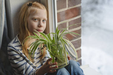 Mädchen hält Spinnenpflanze und sitzt am Fenster - IHF01869