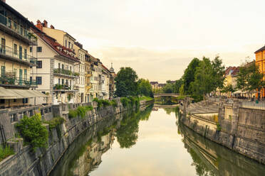 Slovenia, Ljubljana, Trees and buildings reflecting in Ljubljanica river at dawn - TAMF04219