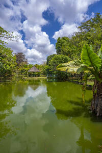 Blick auf den Botanischen Garten Sir Seewoosagur Ramgoolam, Mauritius, Indischer Ozean, Afrika - RHPLF31591