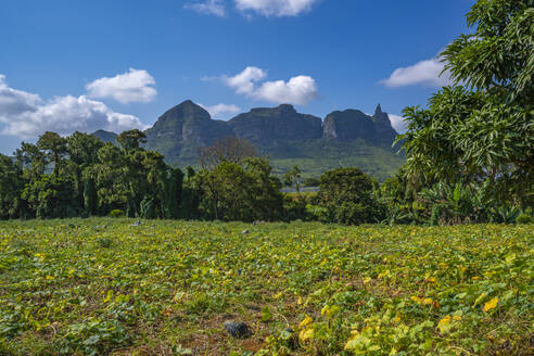 Blick auf Farmland und Berge in der Nähe von Ripailles, Mauritius, Indischer Ozean, Afrika - RHPLF31599