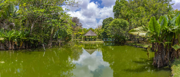 Blick auf den Botanischen Garten Sir Seewoosagur Ramgoolam, Mauritius, Indischer Ozean, Afrika - RHPLF31622