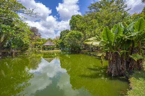 Blick auf den Botanischen Garten Sir Seewoosagur Ramgoolam, Mauritius, Indischer Ozean, Afrika - RHPLF31624