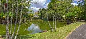 Blick auf den Botanischen Garten Sir Seewoosagur Ramgoolam, Mauritius, Indischer Ozean, Afrika - RHPLF31625
