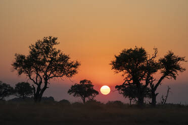 Sonnenuntergang über dem Okavango-Delta, Botswana, Afrika - RHPLF31720