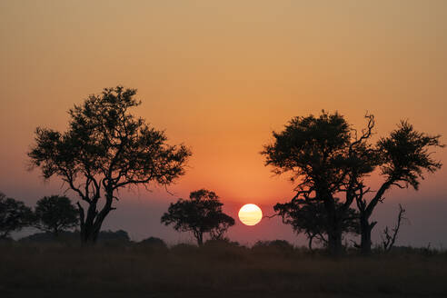 Sunset over the Okavango Delta, Botswana, Africa - RHPLF31720