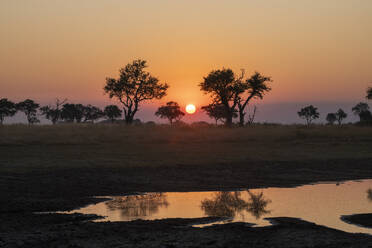 Sonnenuntergang über dem Okavango-Delta, Botswana, Afrika - RHPLF31722