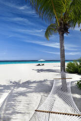 Tropical beach, landscape with hammock and white sand, The Maldives, Indian Ocean, Asia - RHPLF31743