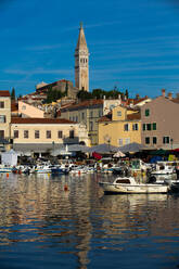 Harbor with Tower of Church of St. Euphemia in the background, Old Town, Rovinj, Croatia, Europe - RHPLF31776