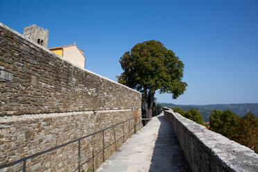 Gehweg, Spitze der Stadtmauer, 13. Jahrhundert, Motovun, Zentralistrien, Kroatien, Europa - RHPLF31809