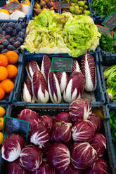 Vegetables including radicchio for sale, Viktualienmakt (Market), Old Town, Munich, Bavaria, Germany, Europe - RHPLF31816