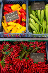 Gemüse wie Okra, Paprika und Chili zum Verkauf, Viktualienmarkt, Altstadt, München, Bayern, Deutschland, Europa - RHPLF31817