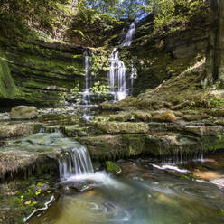 Scaleber Force Wasserfall, in der Nähe von Settle, Yorkshire Dales National Park, Yorkshire, England, Vereinigtes Königreich, Europa - RHPLF31862