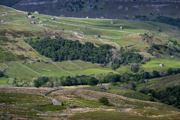 Swaledale vom Buttertubs Pass aus gesehen, Yorkshire Dales National Park, Yorkshire, England, Vereinigtes Königreich, Europa - RHPLF31866